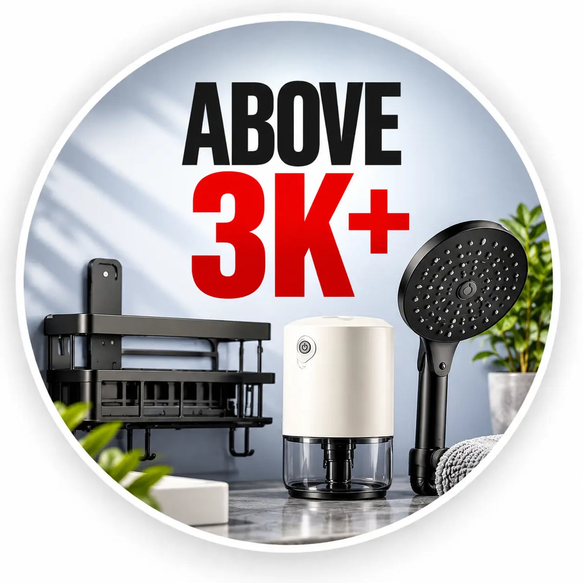 Above Rs 3000