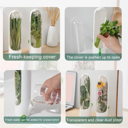 Herb Saver Storage Container – Keep Herbs Fresh for Up to 2 Weeks
